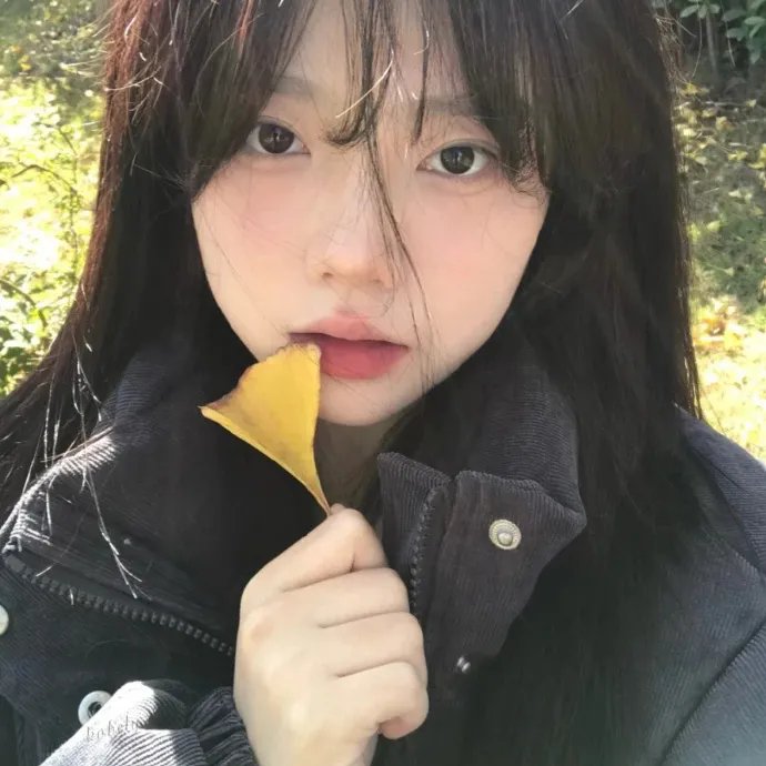 键盘侠